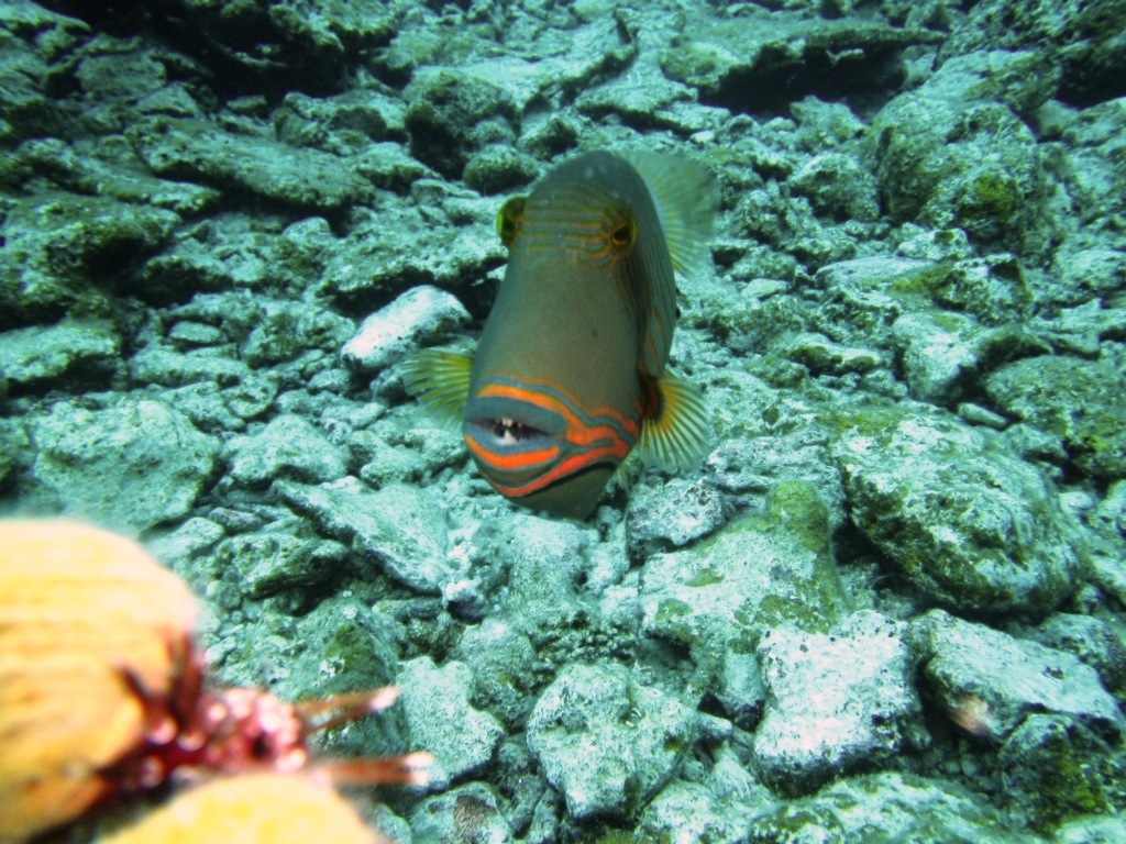 a0189838_06063442.jpg