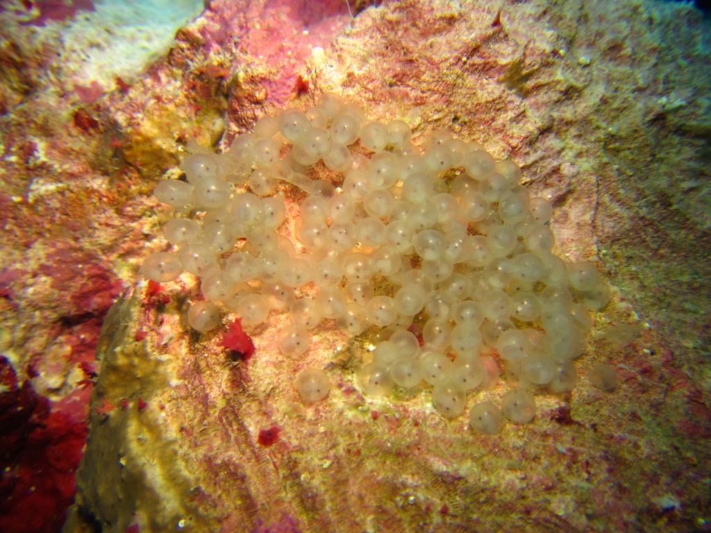 a0189838_06074869.jpg