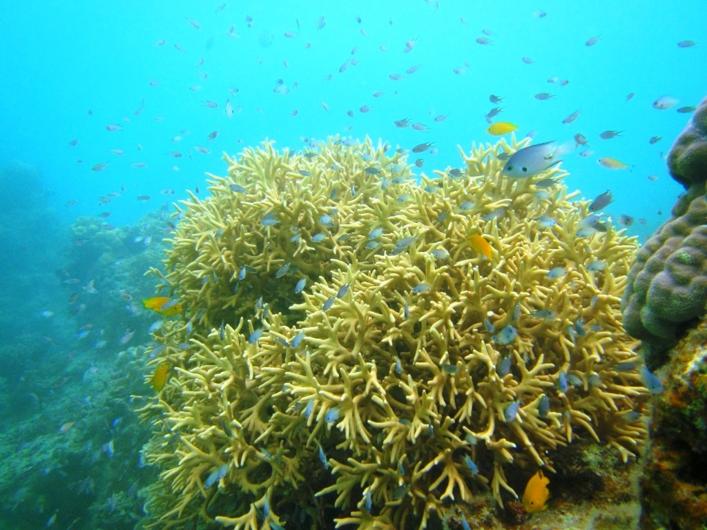 a0189838_06104128.jpg