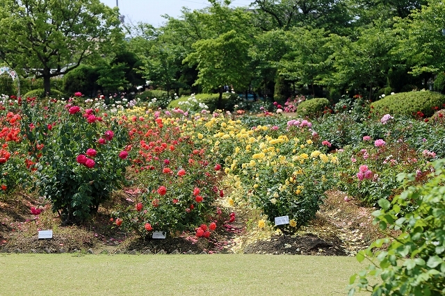 a0242438_19534948.jpg