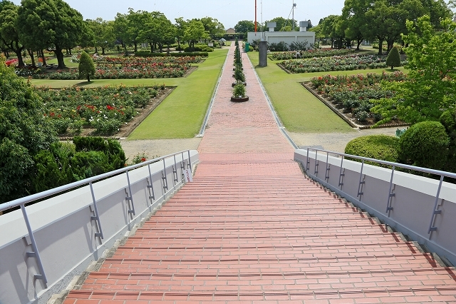 a0242438_19534949.jpg
