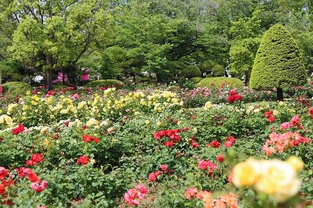 a0242438_19535734.jpg