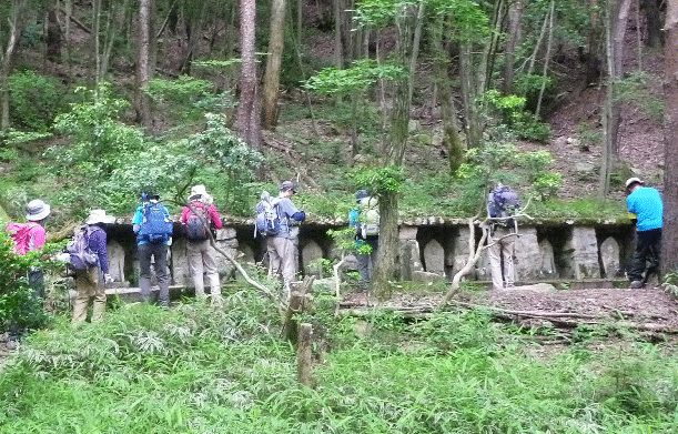 e0371039_12383313.gif