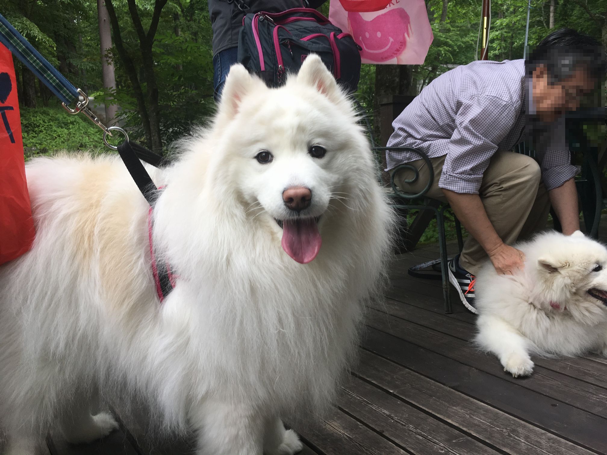 ２０１７年６月　山梨～長野旅行　その１_f0128542_274733.jpg