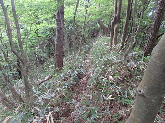 f0334143_652398.jpg