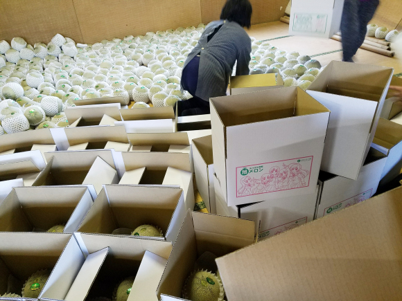 【第1回目配送分の箱詰め☆】茨城の旬をお届け！ 鉾田市（旭）のガルパンメロンセット！（季節・数量限定）※６月13日から順次配送となります part 9_a0283448_11141949.jpg