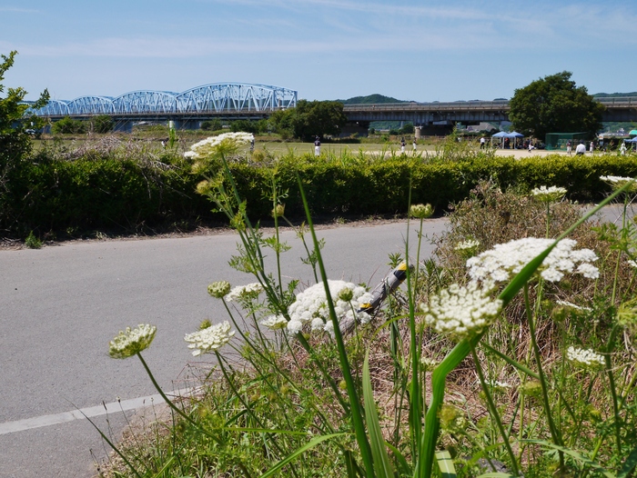 　　川のある風景　紀ノ川_b0093754_1725593.jpg