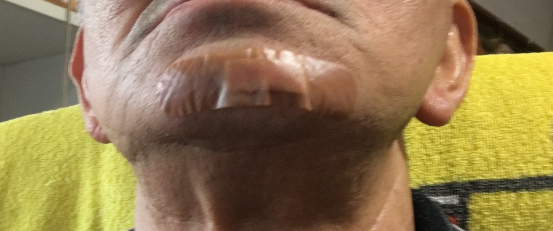 e0082956_06094197.jpg