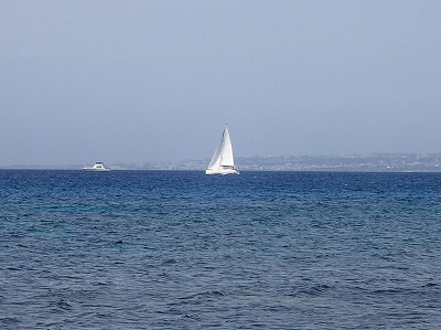 c0180460_4482689.jpg
