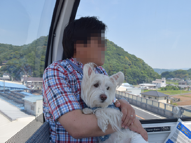 b0242873_23211639.png