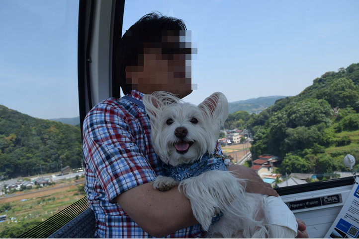 b0242873_23254769.png