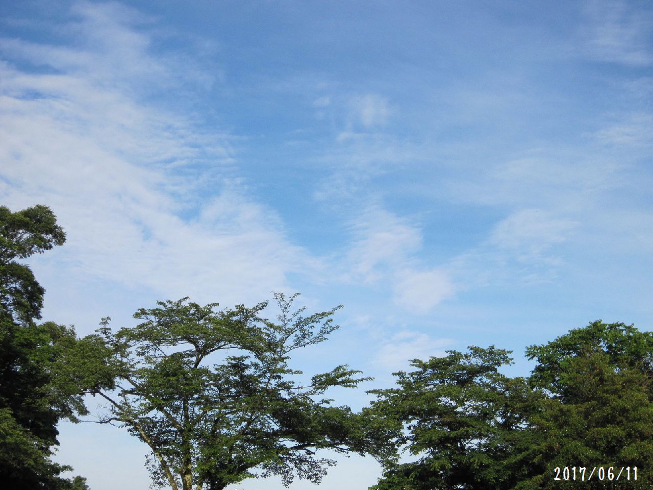 a0207574_10340975.jpg
