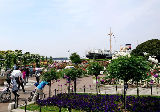 a0353681_18582644.jpg