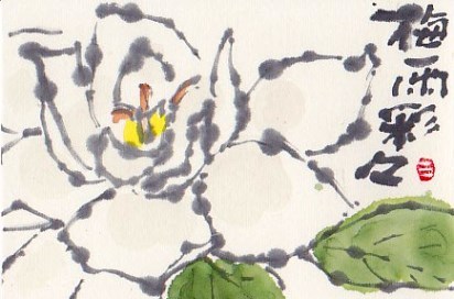 梅雨に彩る 絵手紙の小窓 梅雨に彩る 絵手紙の小窓