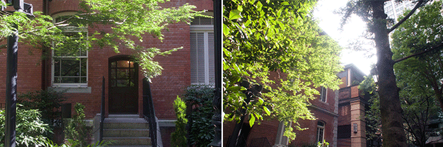 e0176691_203075.png