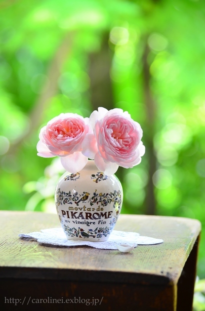 モイストポプリ　　My Garden Roses & Moist Pot-pourri Making_d0025294_16530212.jpg
