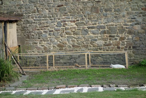 e0206902_6105837.jpg