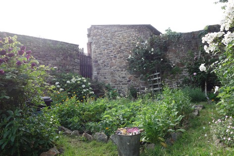 e0206902_6115227.jpg