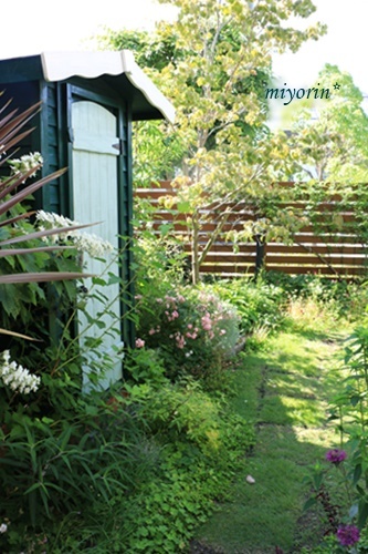 a0123003_09324135.jpg