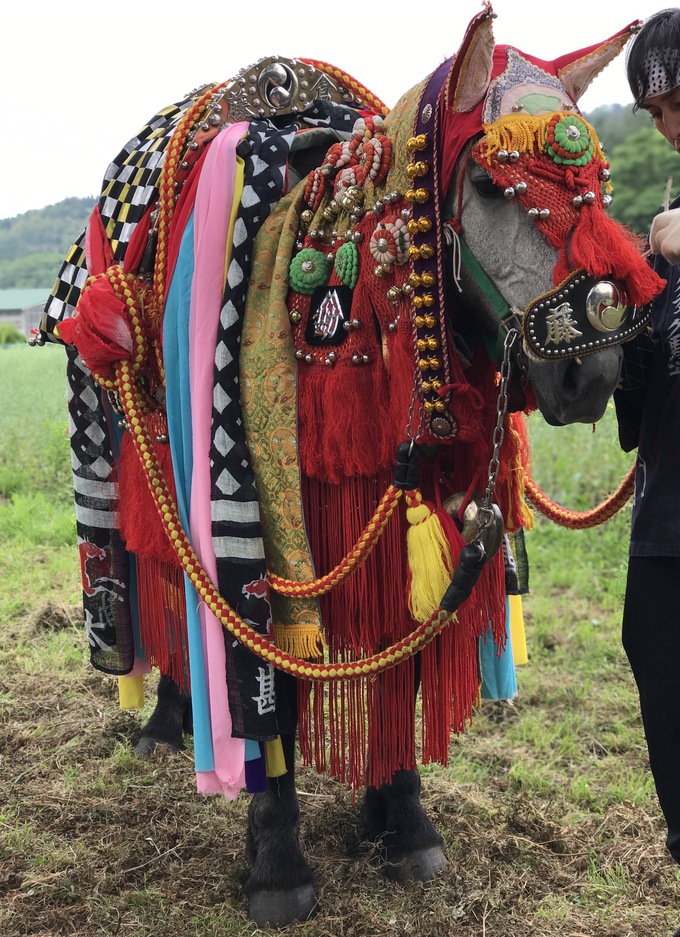 スタートは蒼前神社から!(チャグチャグ馬コ★その1)_c0212604_9444971.jpg