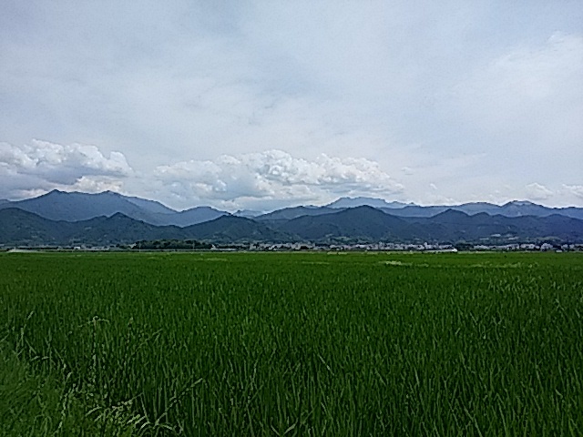 f0231709_23335301.jpg