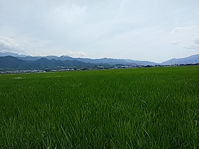 f0231709_23373988.jpg