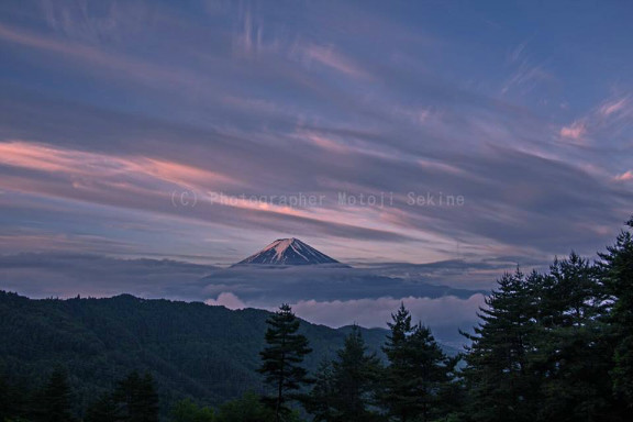 ご機嫌ワンコ　ちらっと富士山_d0160611_19023851.jpg