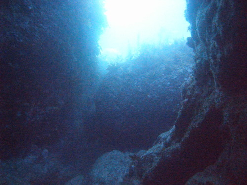 d0070216_18004751.jpg