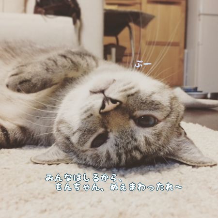 走って疲れたもんちゃん カンタとハンナ