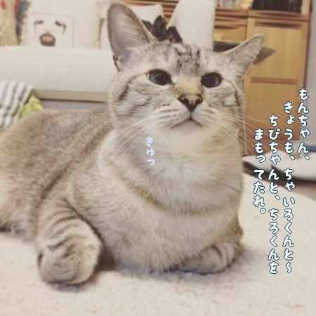 走って疲れたもんちゃん カンタとハンナ