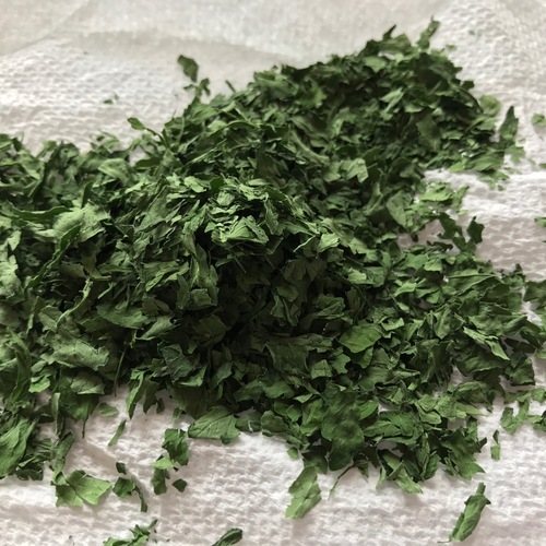 Parsley (パセリ)_b0129324_1301129.jpg