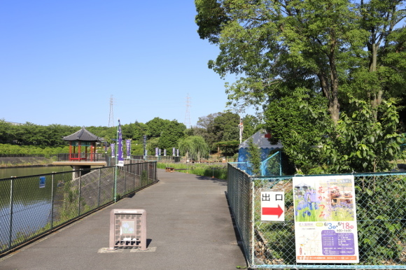 c0201929_06450276.jpg