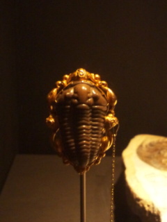 c0056437_23232467.jpg
