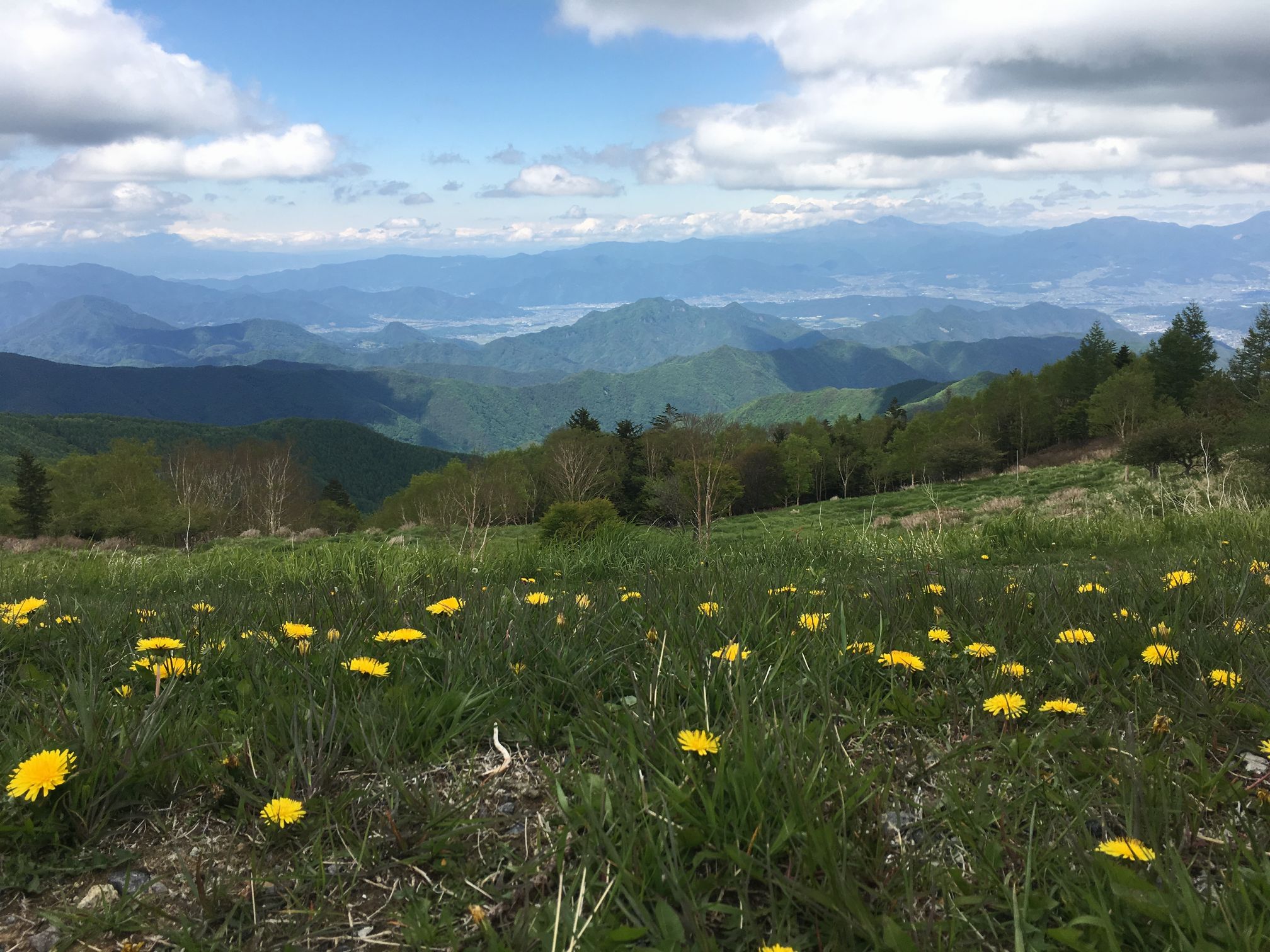 ２０１７年　山梨～長野旅行　その２_f0128542_2403262.jpg