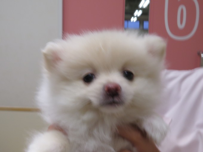6 月 14 日の写真_c0174644_20223300.jpg