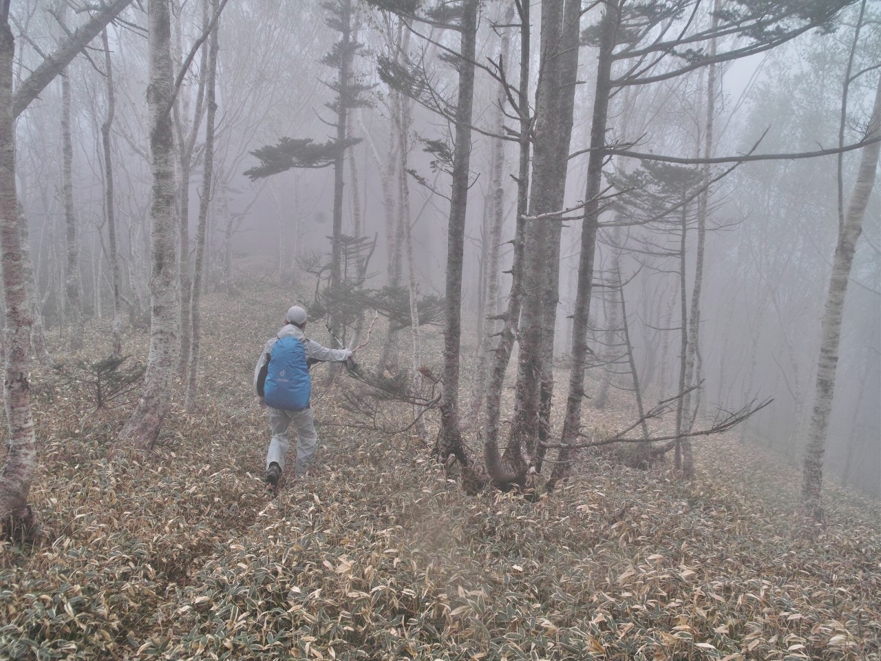 c0008948_1428829.jpg