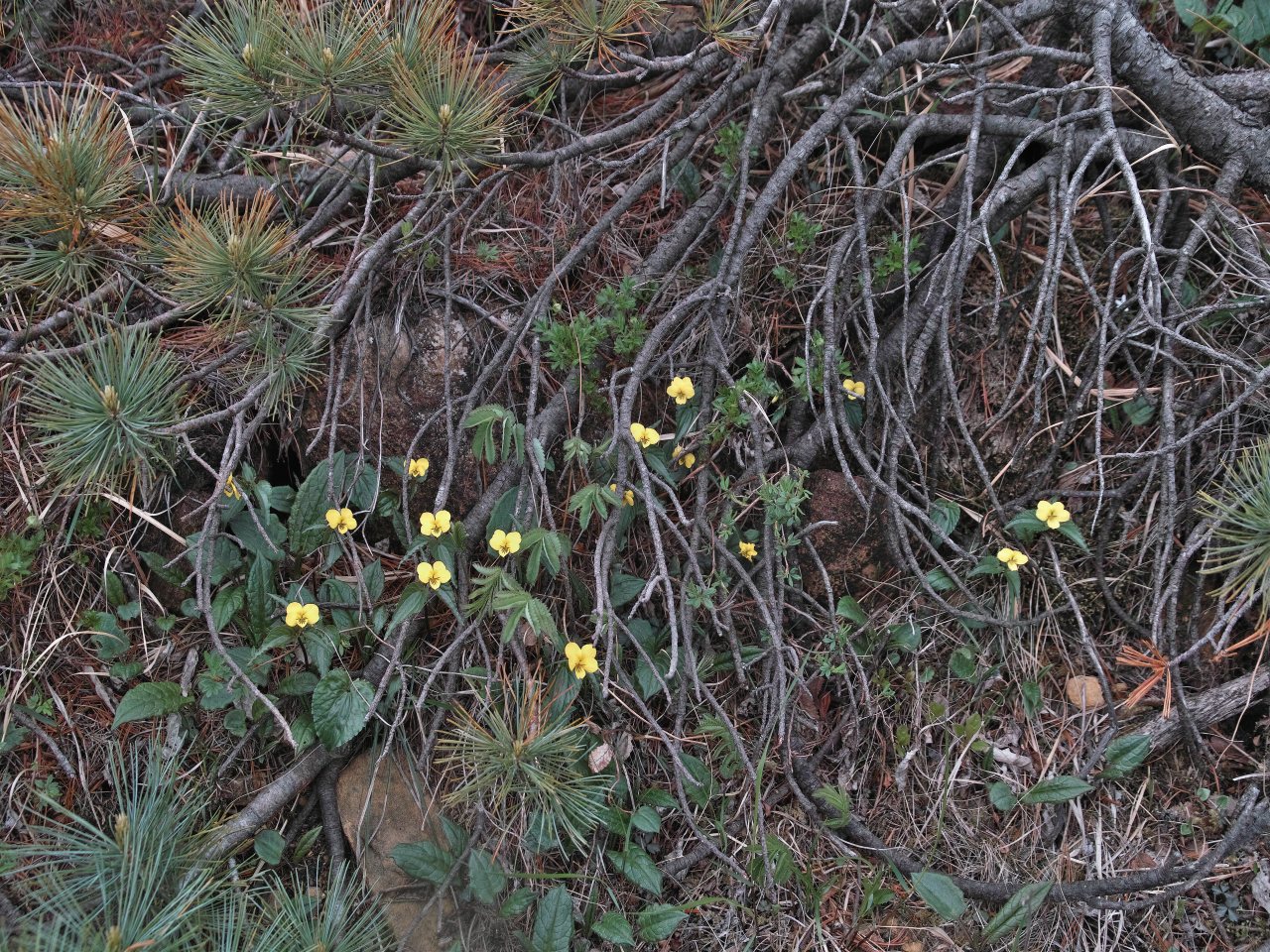c0008948_8484939.jpg
