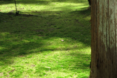 c0193648_22544723.jpg