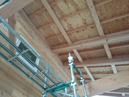 b0129758_1646915.gif