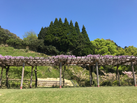 隊長と武雄・嬉野湯治旅⑨萬象閣敷島 朝食_b0324461_13384625.jpg