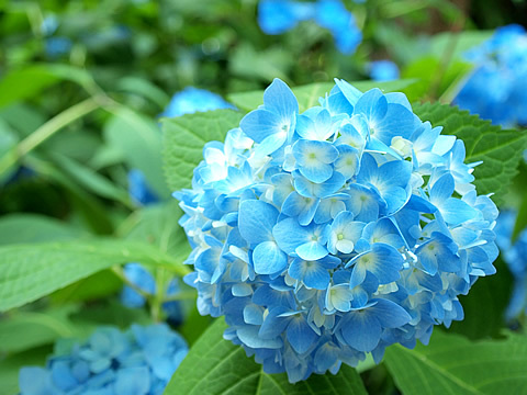 ーー薬!の、儲け!くそ倍!と、言うけれど、仕入れ値!は、いくらやねん!ーー_d0060693_17341044.jpg