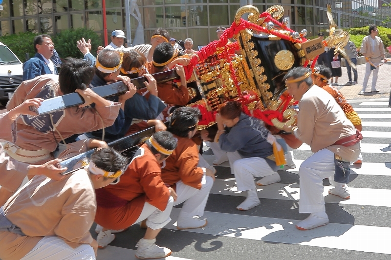 振って、倒して、降り倒して、持ち上げる荒っぽい神輿（荒川区、素戔嗚神社の天王祭）_b0291402_19532145.jpg