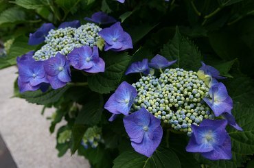 金融庁からの手紙(ローカルベンチマーク)_f0063203_11014548.jpg