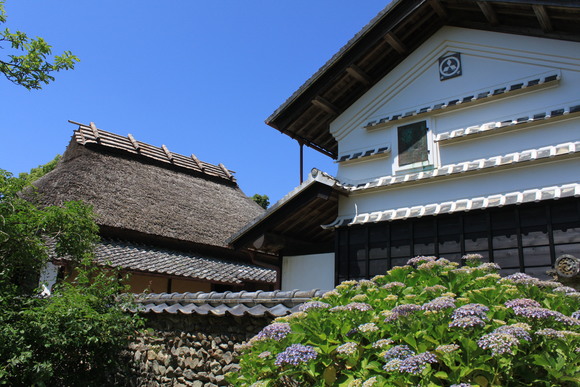 d0237309_21491192.jpg