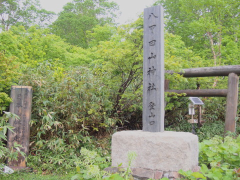 八甲田のチングルマ(青森市)*2017.06.11_b0147224_22453314.jpg