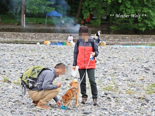 第22回マザーウルフ遠足 飯能レポート_e0191026_11063163.jpg
