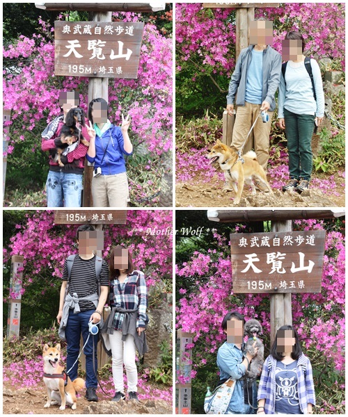 第22回マザーウルフ遠足 飯能レポート_e0191026_12570444.jpg