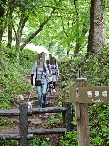 第22回マザーウルフ遠足 飯能レポート_e0191026_15312225.jpg