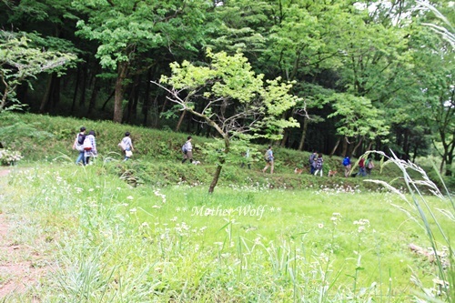 第22回マザーウルフ遠足 飯能レポート_e0191026_15374207.jpg