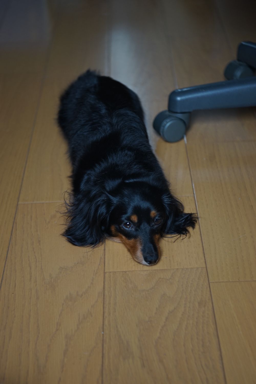 b0069128_8574950.jpg